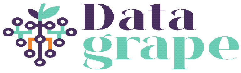 Data Grape — Power BI and data analytics consultancy